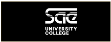 Sae college uni dubai